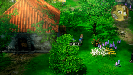 すばやさのたね