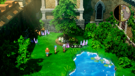 すばやさのたね