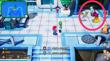 ゼニアレバー島イベント