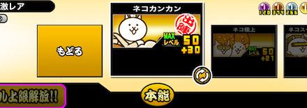 本能解放 ネコカンカン