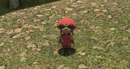 マメット・ペルペル