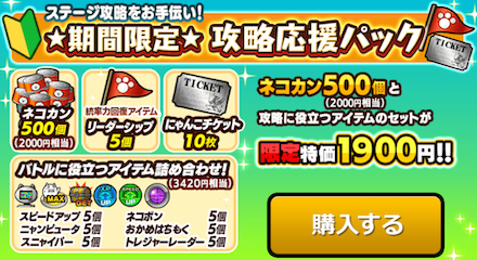 攻略応援パック