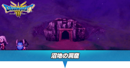 沼地の洞窟のマップと小さなメダル