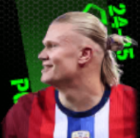 TPアーリングハーランド(11/21)画像