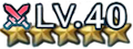 スキルあり星5レベル40のアイコン