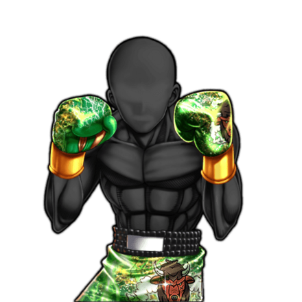 翠闘牛のボクサーウェアの画像