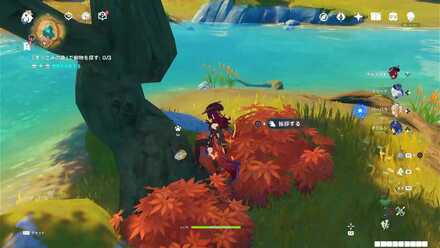 ヤマガラの場所