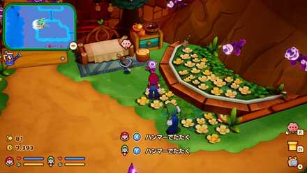 コネッタの見た目