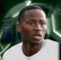 HPパプサール(11/25)画像