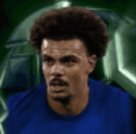 HPレナトヴェイガ(11/25)画像