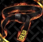 覇道の帯アイコン