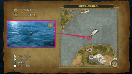 しびれくらげ2画像