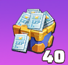 英雄Exp宝箱(SSR)