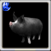 鹿児島黒豚の画像