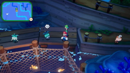 ロウデンの見た目