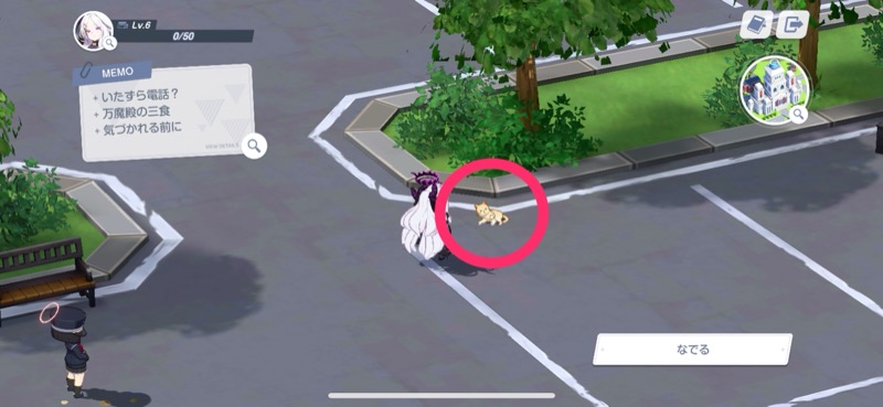 万魔殿テントの猫