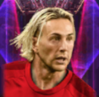 HPフェデリコベルナルデスキ(11/28)画像