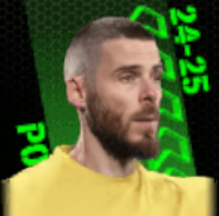 TPダビドデヘア(11/28)画像