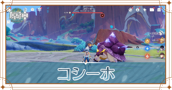 コシーホアイキャッチ