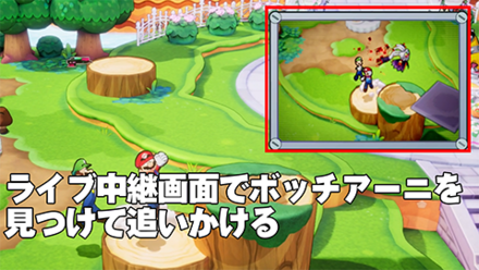 ライブ中継画面