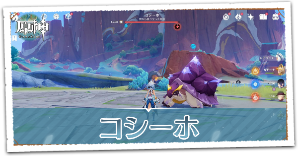 コシーホ