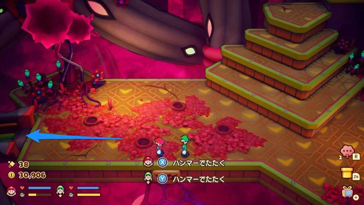 カブじいの間への道