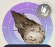 古代樹の欠片の画像