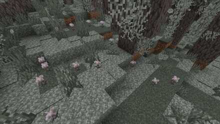 昼のアイブロッサム