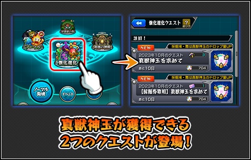 真獣神玉を求めて