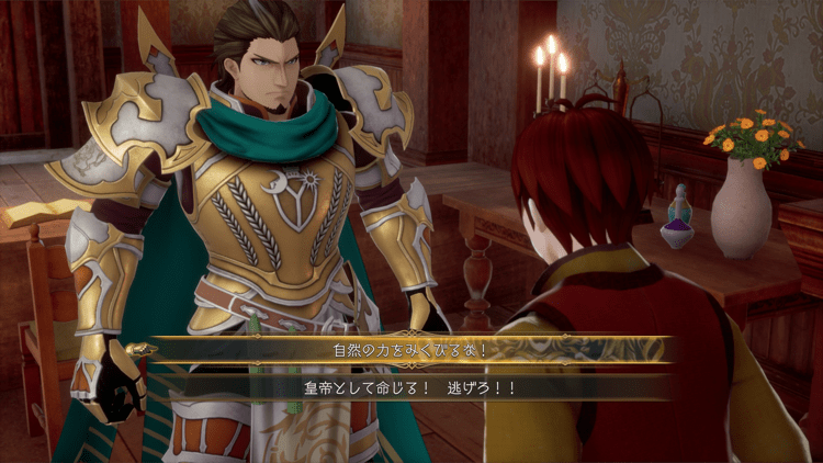 ツキジマの村長