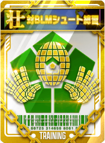 対BLMシュート練習