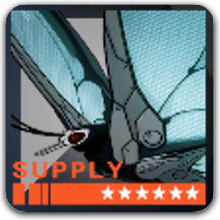 パピヨンの画像