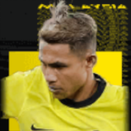 HPファイサルハナピ(12/06)画像