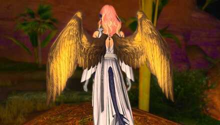 アーク・エンジェルウィング見た目