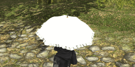 ホワイトフリルパラソル見た目