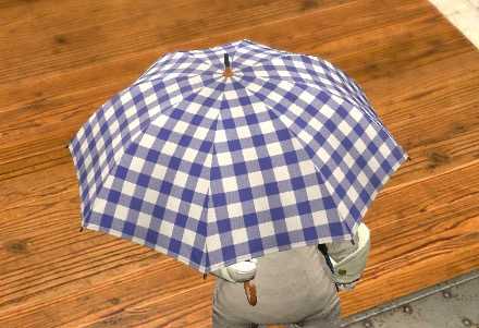 カルムチェックパラソル見た目
