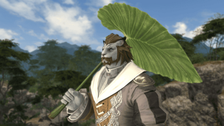 葉っぱの傘見た目