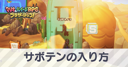 サボテンの入り方