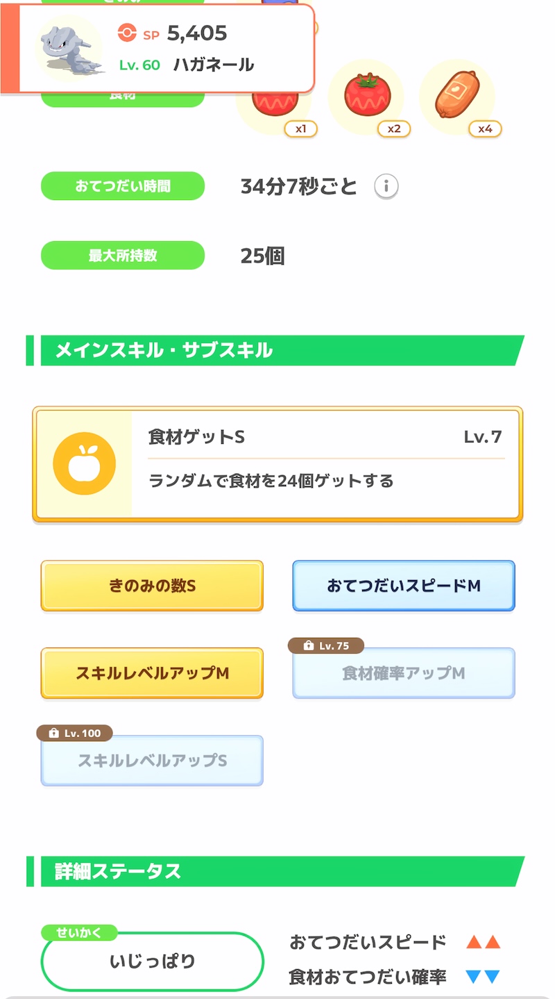 攻略班のハガネール