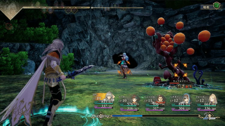 ラッフルツリー