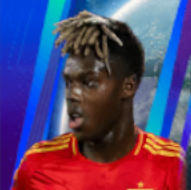 HPニコウィリアムス(12/12)画像