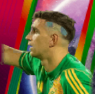 HPエミリアーノマルティネス(12/12)画像