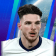 HPデクランライス(12/12)画像