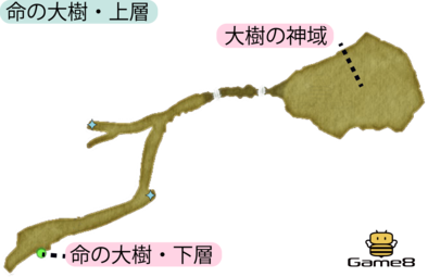 命の大樹・上層のマップ