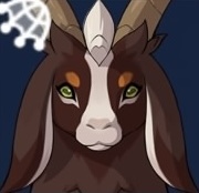 ショコアトルヤギの画像