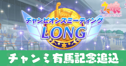 チャンミ有馬記念追込