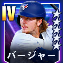 バージャー画像