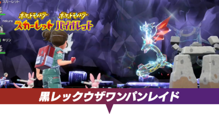 黒レックウザワンパン