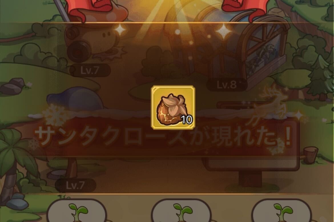 火焔松ぼっくり