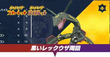黒いレックウザ周回